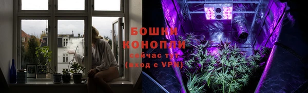 дурь Елабуга