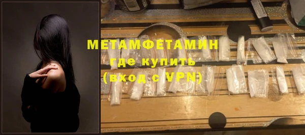 PSILOCYBIN Ельня