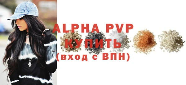 PSILOCYBIN Ельня