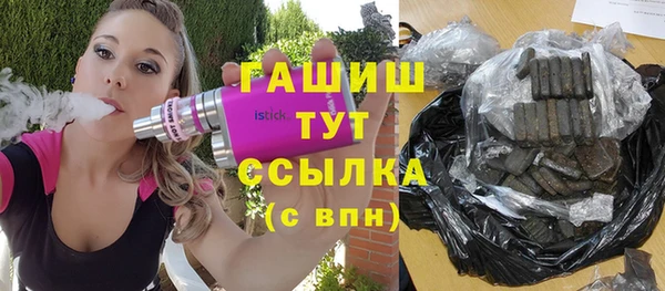 PSILOCYBIN Ельня