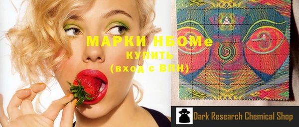PSILOCYBIN Ельня