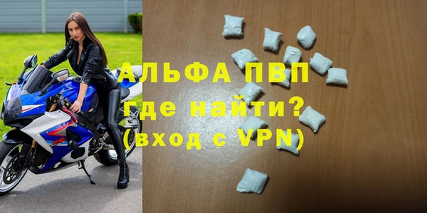 PSILOCYBIN Ельня
