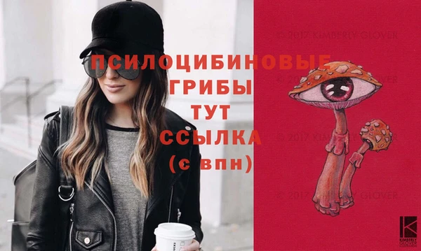 дурь Елабуга