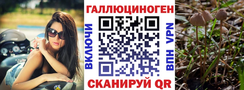 Купить  Зарайск  Галлюциногенные грибы GOLDEN TEACHER 
