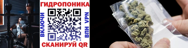 Купить закладки  Зарайск  Марихуана конопля 